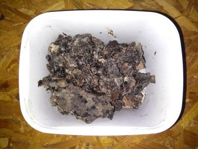 Geopropolis de Abelha Mandaçaia