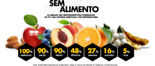 A importância das Abelhas - Polinização