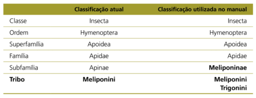 Classificação Abelhas Nativas
