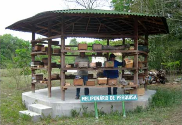 Meliponário Coletivo