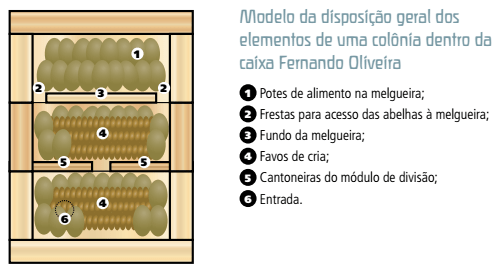 Caixas Inpa Otimização De Manejo Divisão De Enxames Produção De Mel
