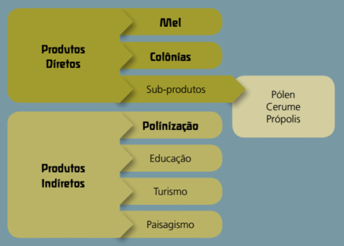 Objetivos da Meliponicultura