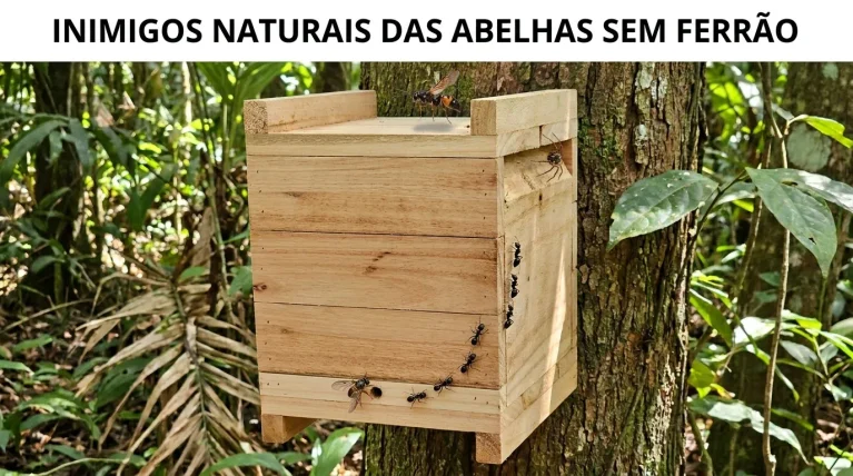 Inimigos Naturais das Abelhas Sem Ferrão