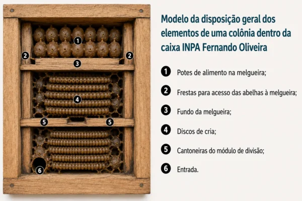 Caixas INPA - Modelo de disposição geral dos elementos