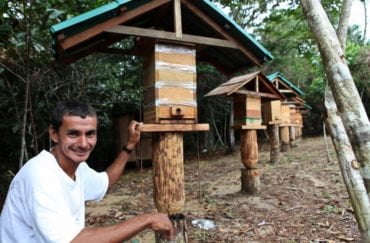 Meliponicultura Como Começar