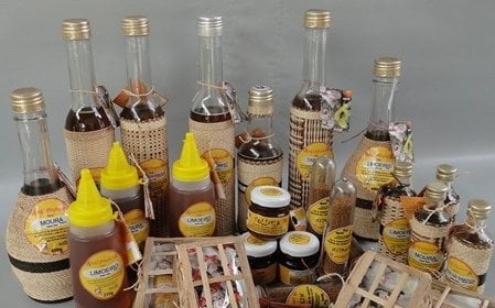 O que é Meliponicultura - Principais Produtos