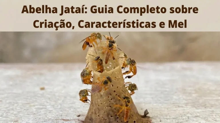 Abelha Jataí Guia Completo de Criação, Características e Mel