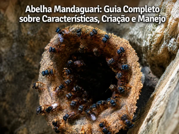 Abelha Mandaguari: Guia Completo