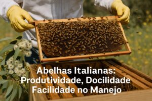 Abelhas Italianas: Produtividade, Docilidade e Facilidade no Manejo