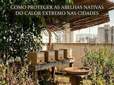 Como Proteger Abelhas Nativas do Calor Extremo nas Cidades