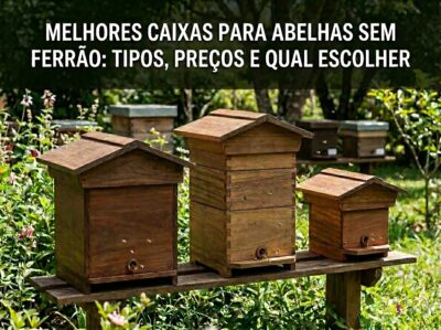 Melhores Caixas para Abelhas Sem Ferrão