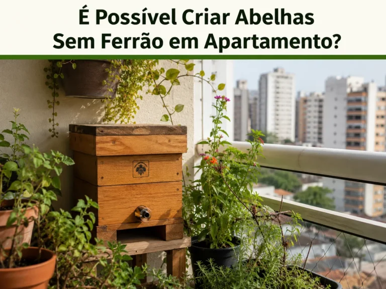 É Possível Criar Abelhas Sem Ferrão em Apartamento