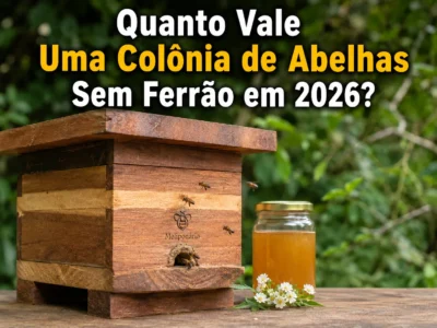 Quanto Vale Uma Colônia de Abelhas Sem Ferrão em 2026
