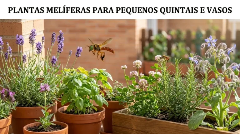 Plantas Melíferas para Pequenos Quintais e Vasos