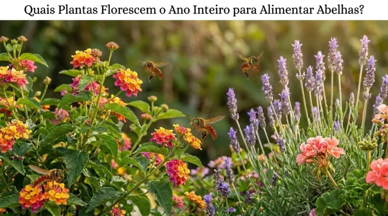 Quais Plantas Florescem o Ano Inteiro para Alimentar Abelhas?
