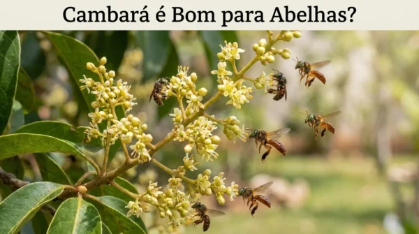 Cambará é Bom para Abelhas?