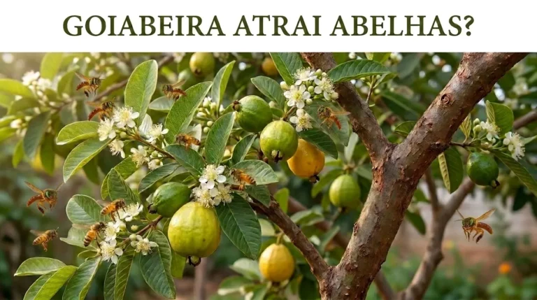Goiabeira Atrai Abelhas?