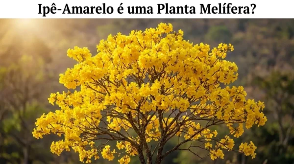 Ipê-Amarelo é uma Planta Melífera?