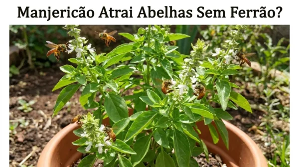 Manjericão Atrai Abelhas Sem Ferrão?