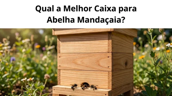 Qual a Melhor Caixa para Abelha Mandaçaia?