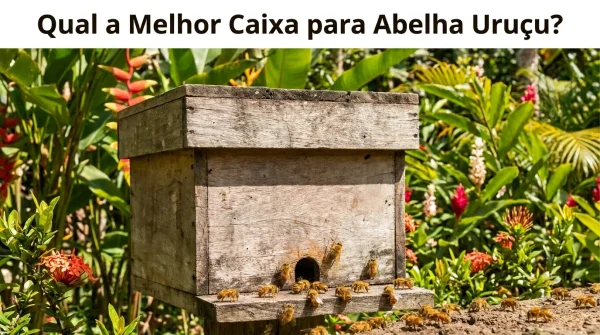 Qual a Melhor Caixa para Abelha Uruçu