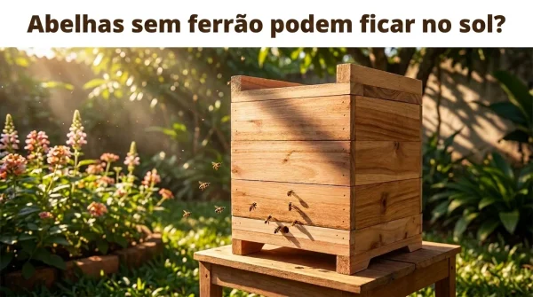 Abelhas Sem Ferrão Podem Ficar no Sol