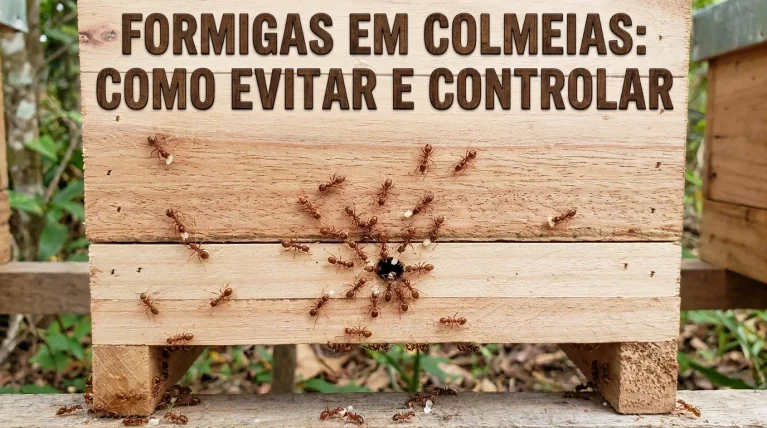 Formigas na Colmeia de Abelhas: Como Evitar e Controlar