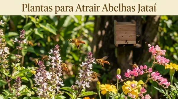 Plantas para Atrair Abelha Jataí